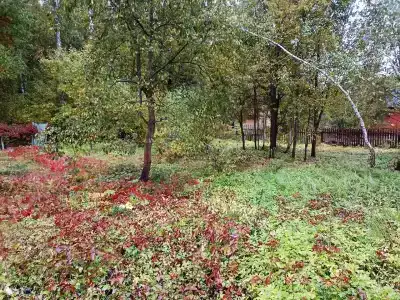 Дачный отель Лесные поляны - 35