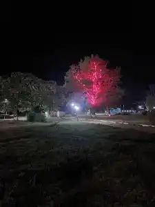 Park-otel Rubas - 88