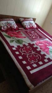 Ala-Kul guesthouse in Altyn-Arashan - 13