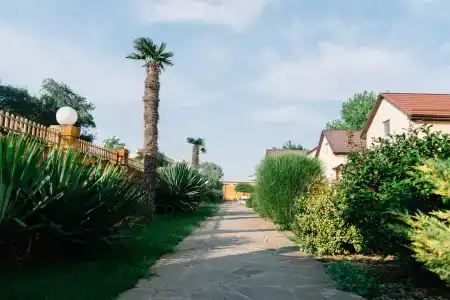 Pansionat DUBLIN-DOLPHIN - 42