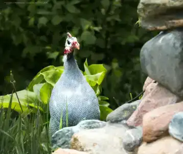 Park-Otel Kanyon Recreation camp - 25