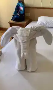 Kleopatra Dreams Beach - 17