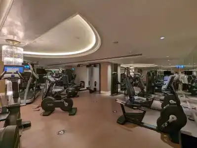 Four Seasons Lion Palace - 65