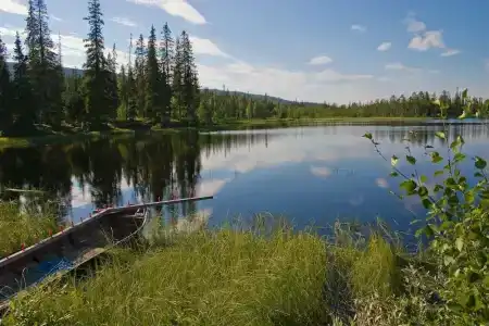 Santa's Aurora & Igloos - 64