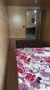 Ala-Kul guesthouse in Altyn-Arashan - 14