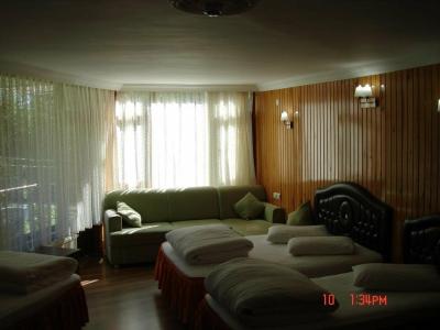 Ayder Yesil Vadi Otel - 5