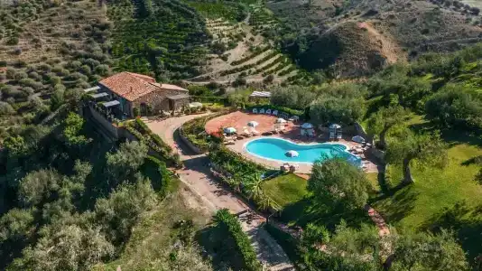 Poggio Pozzetti - 0