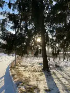 Park-Torbeevo Ozero - 42