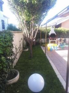 B&B La Baia Dei Delfini - 6