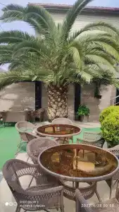 SM Royal - ALL INCLUSIVE - 63