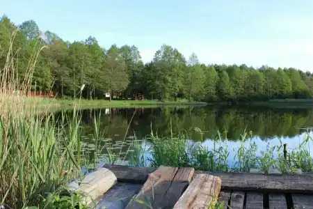 Guest house Lesnoy Edem - 73