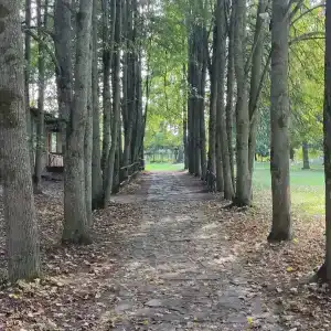 Ethno-Usadba Tourist base - 17