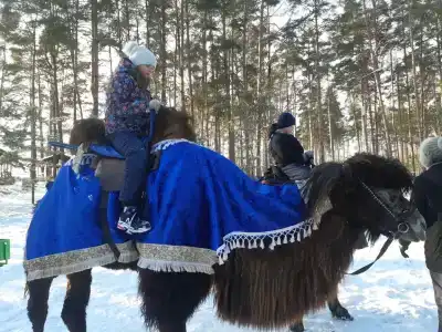 Лукоморье - 56