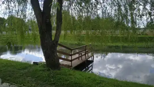 Эко-отель "Тихая заводь" - 9