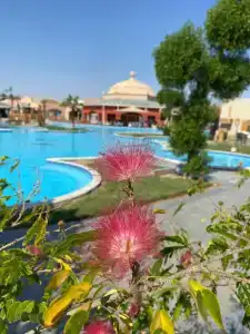 Pickalbatros Jungle Aqua Park - Neverland - 28