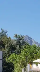 Armas Garden - 18