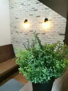 LOFT 5Вершин - 41