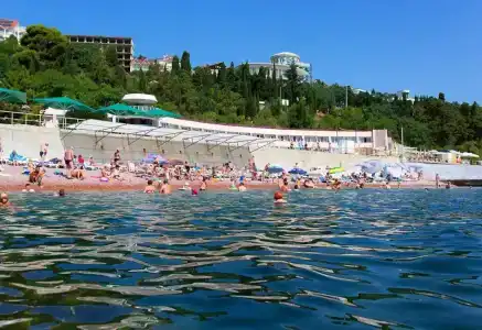 Morskoj ugolok - 14
