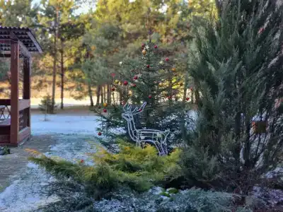 Guest house Lesnoy Edem - 43