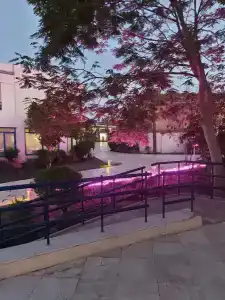 Cataract Resort Naama Bay - 37