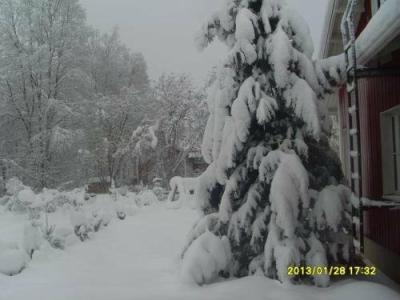 Aaria Bed and Breakfast - 1