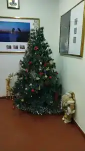 СпбВергаз - 40