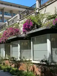 Papillon Ayscha Resort & Spa - All Inclusive Resort - 49