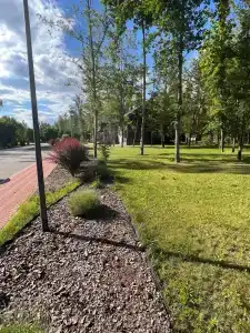 Berezinskaya Dubrava - 45