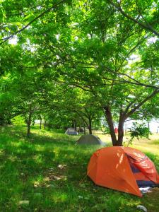 GeoCamp Black Sea - 16