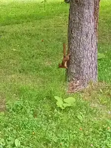 KUP detskiy reabilitatsionno-ozdorovitelnyy tsentr Zhdanovichi - 10