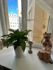 Соната на Владимирской площади - 42