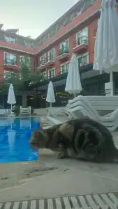 Asdem Park Otel - 8