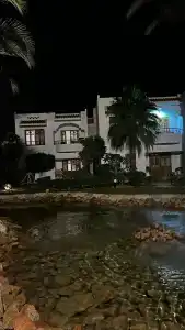 Dive Inn Resort - 16