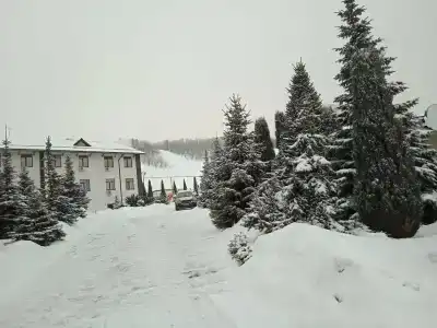 Vishnevaya Gora - 37