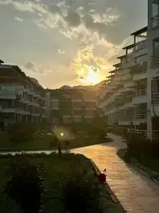 Green Nature Diamond - 27