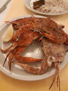 Seabel Aladin Djerba - 69