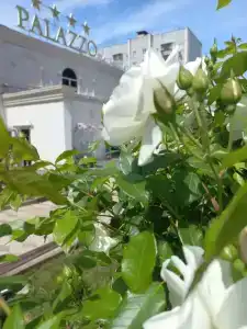 Palazzo Spa-Hotel - 15