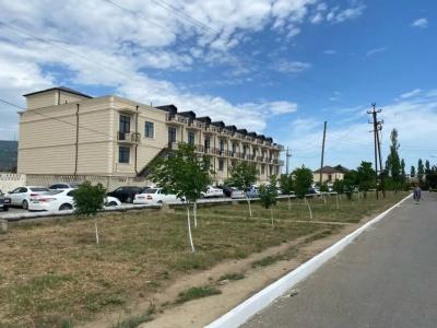 Пальмира - 28