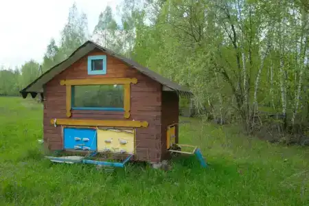 Belaya loshad Tourist base - 6