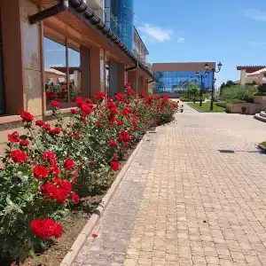 Ribera Resort&SPA - 22