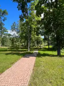 Berezinskaya Dubrava - 18