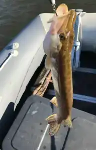 Baza Voshod na Ahtube - 58