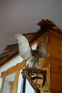 Zaimka Ryibnaya - 29