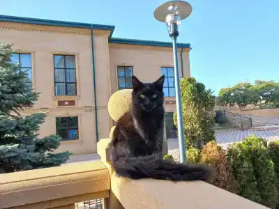 Derbent & Spa Premium - 5