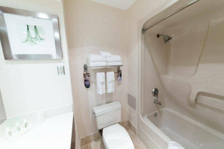 Holiday Inn Windsor - Ambassador Bridge - 30