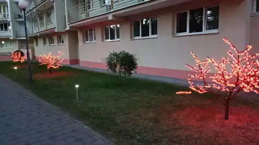 Narochanka Sanatorium - 61