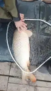 Ulovo Recreation Center - 27