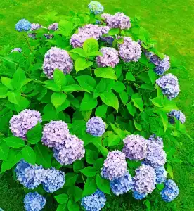 Narochanka Sanatorium - 43