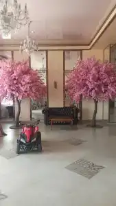 Kazaki Tourist base - 7