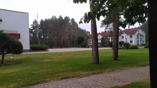 Alesya - 56